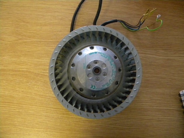 Ergoline Body Fan